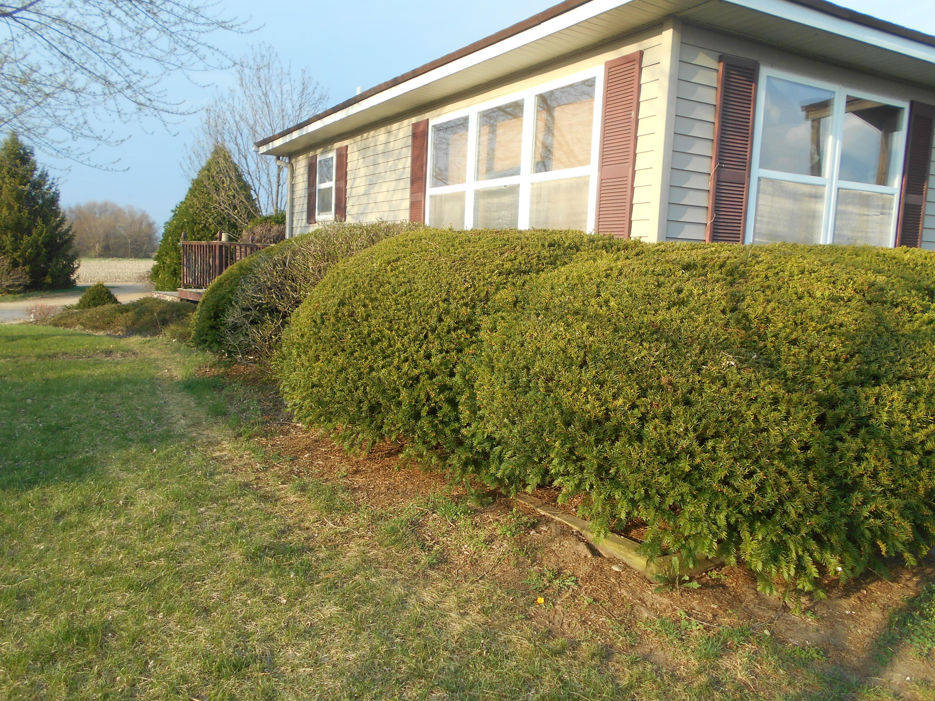 4769 River Road Sodus, MI 49126 - Photo 2 of 6 DSCN2886