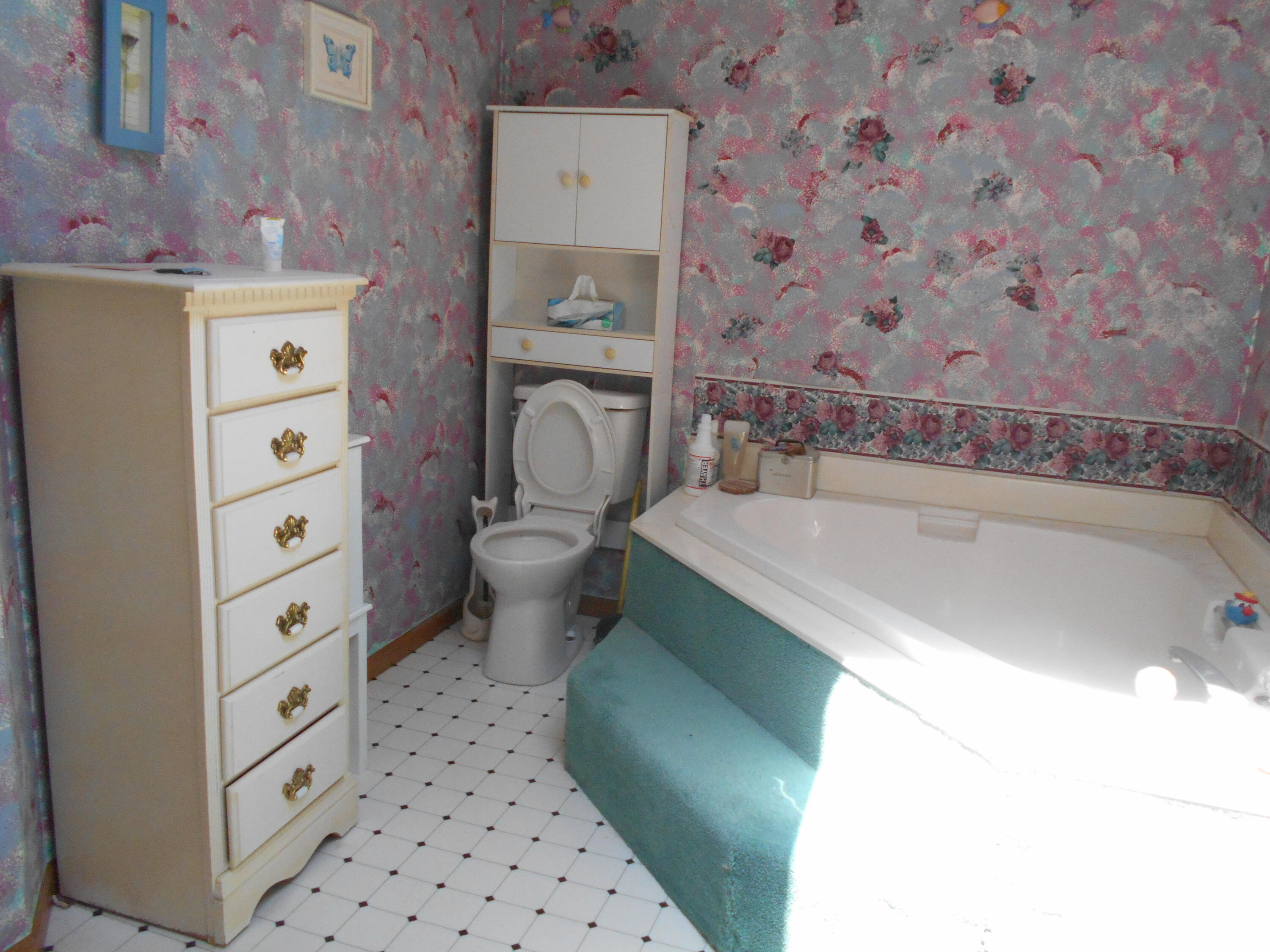 4769 River Road Sodus, MI 49126 - Photo 5 of 6 DSCN3228