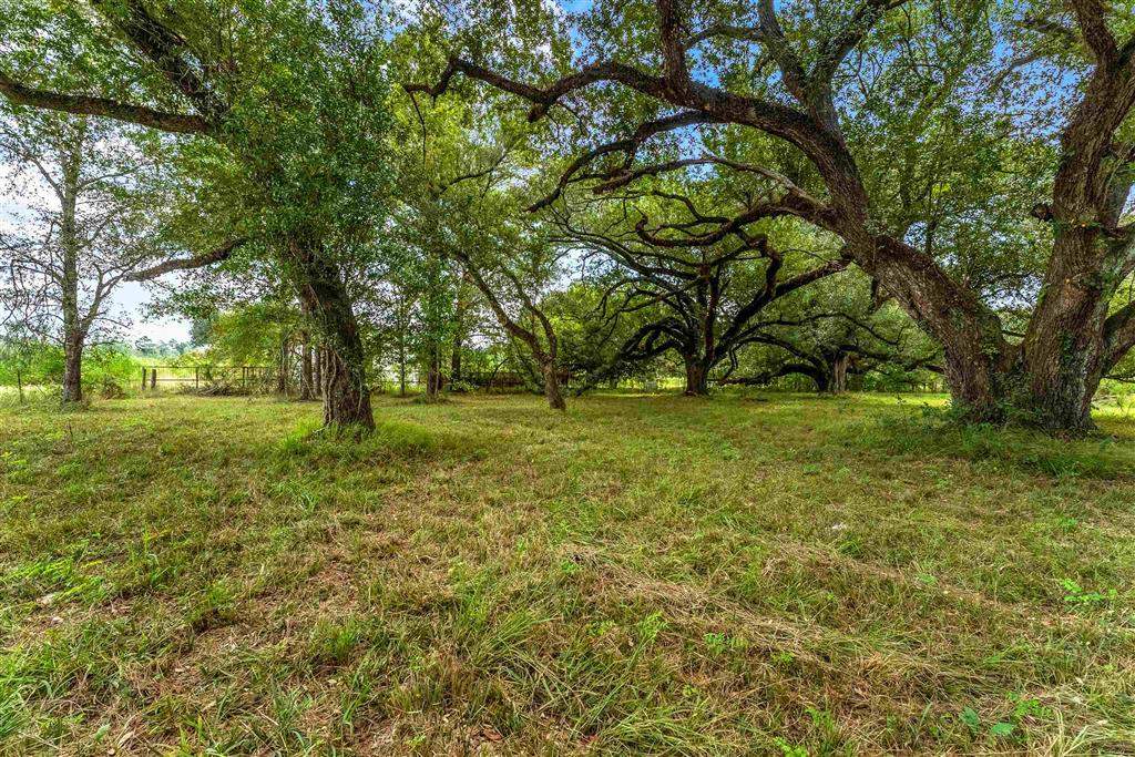 4960 Jim Kent Road Dequincy, LA 70633 - Photo 24 of 31 Gallery Image 24