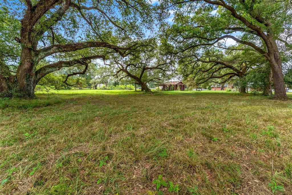 4960 Jim Kent Road Dequincy, LA 70633 - Photo 3 of 31 Gallery Image 3
