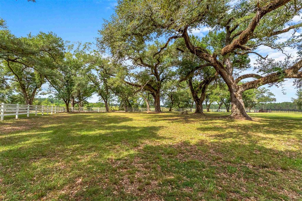 4960 Jim Kent Road Dequincy, LA 70633 - Photo 4 of 31 Gallery Image 4