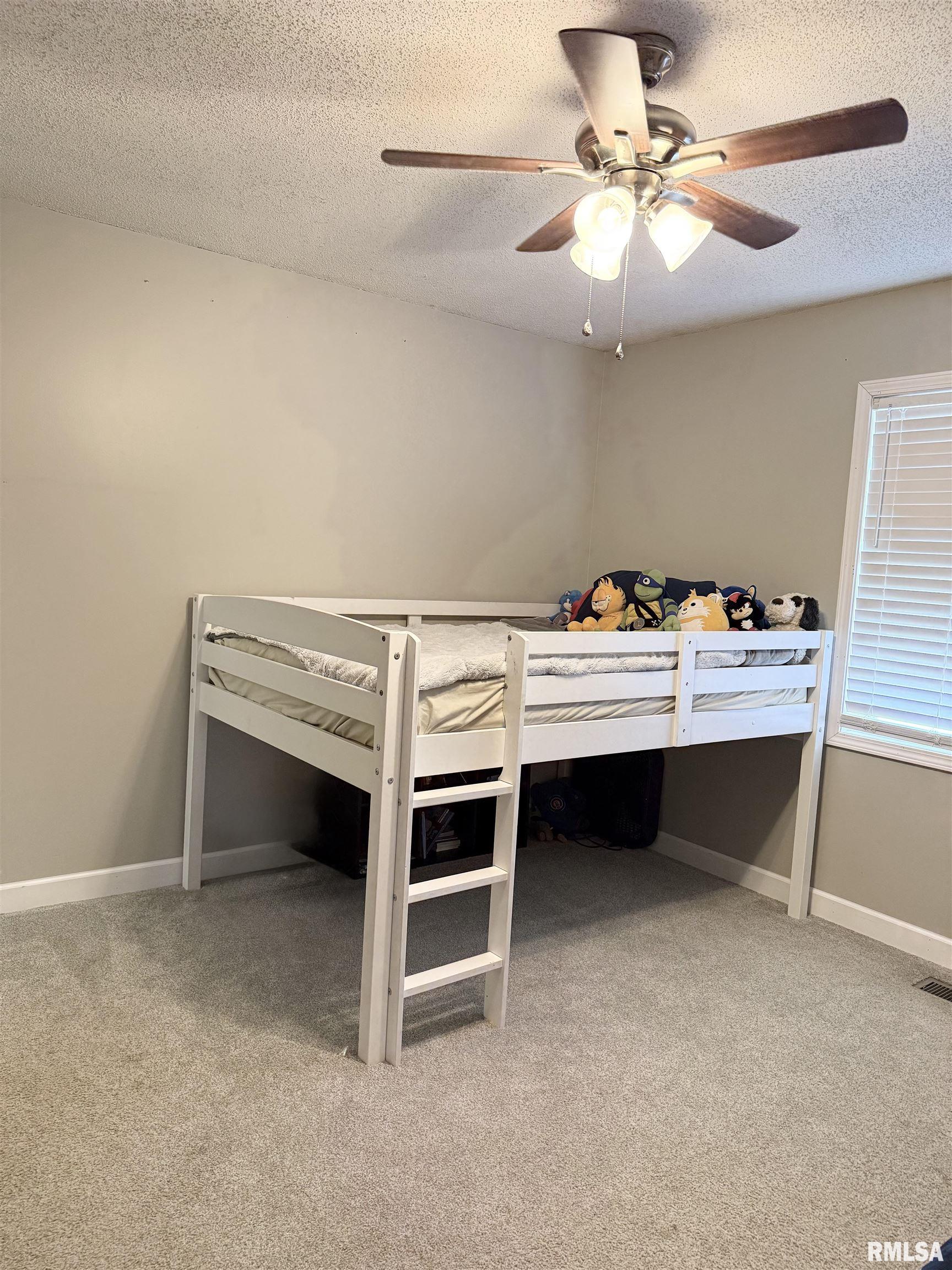 107 Jenkins Road Murphysboro, IL 62966 - Photo 19 of 23