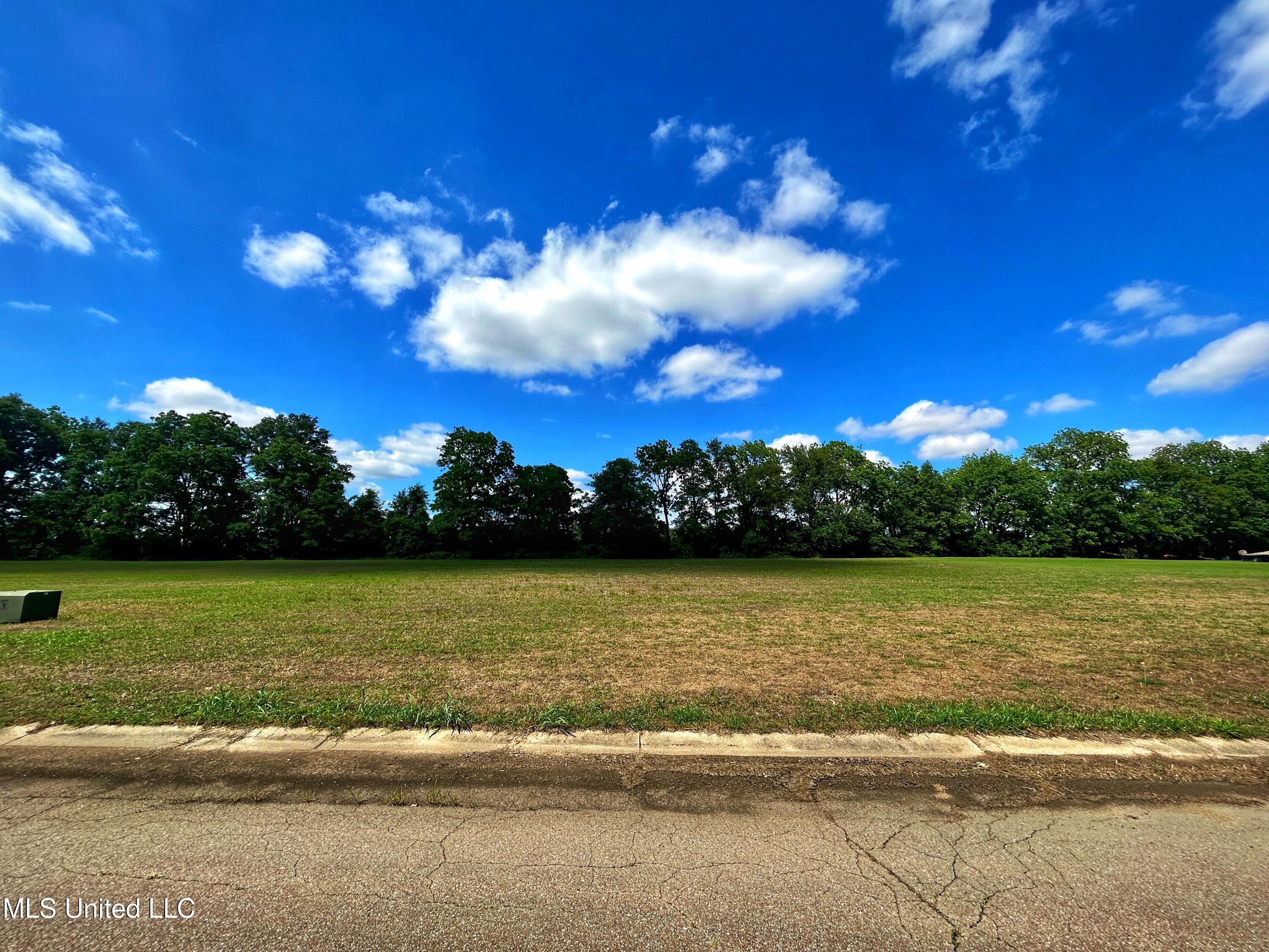 5 Cypress Ridge Drive Clarksdale, MS 38614 - Photo 11 of 13 IMG_5078