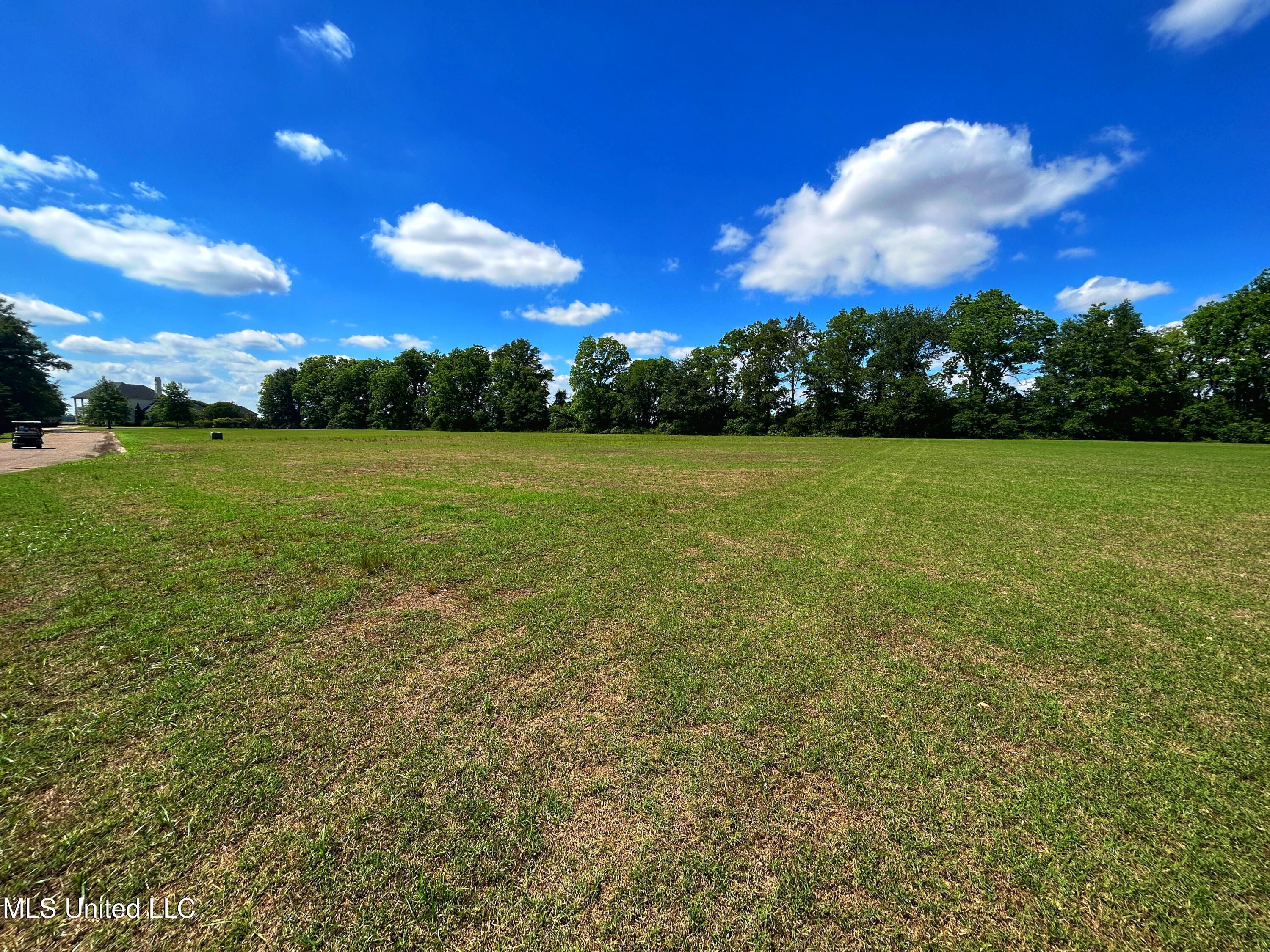 5 Cypress Ridge Drive Clarksdale, MS 38614 - Photo 13 of 13 IMG_5070