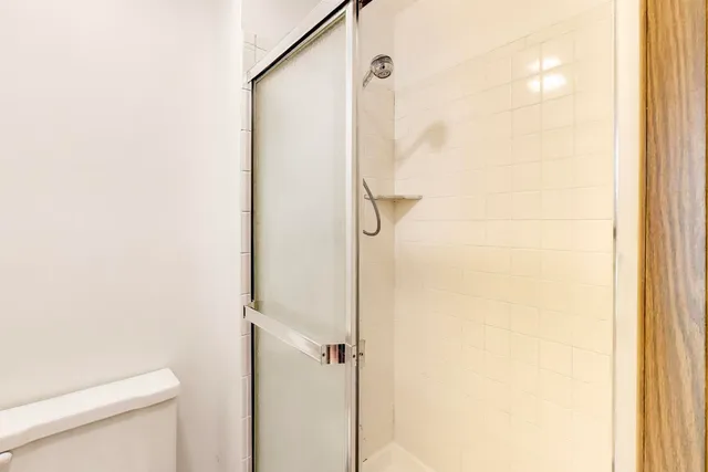 a bathroom with a shower and a toilet