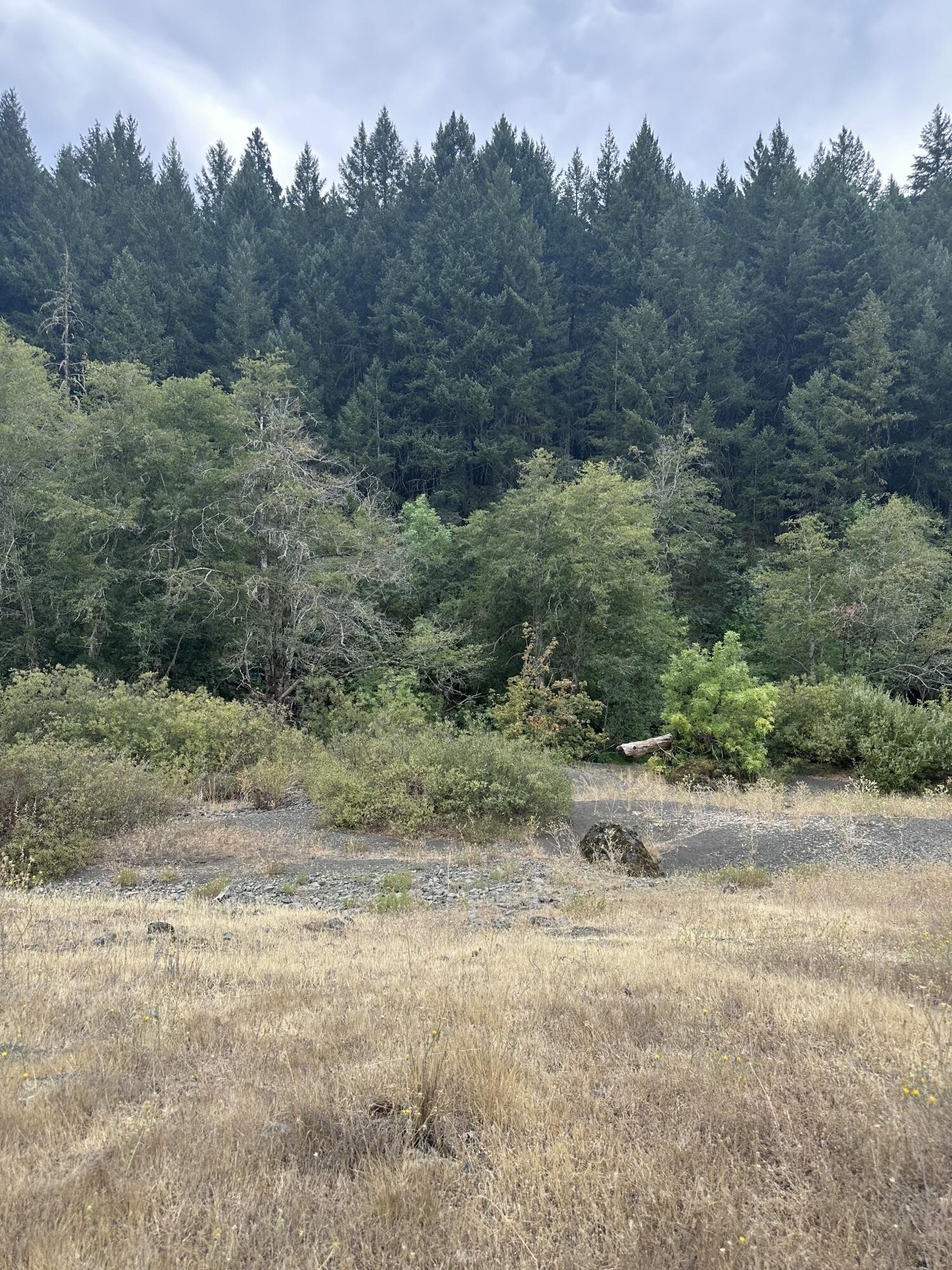0 River Road Miranda, CA 95553 - Photo 31 of 31