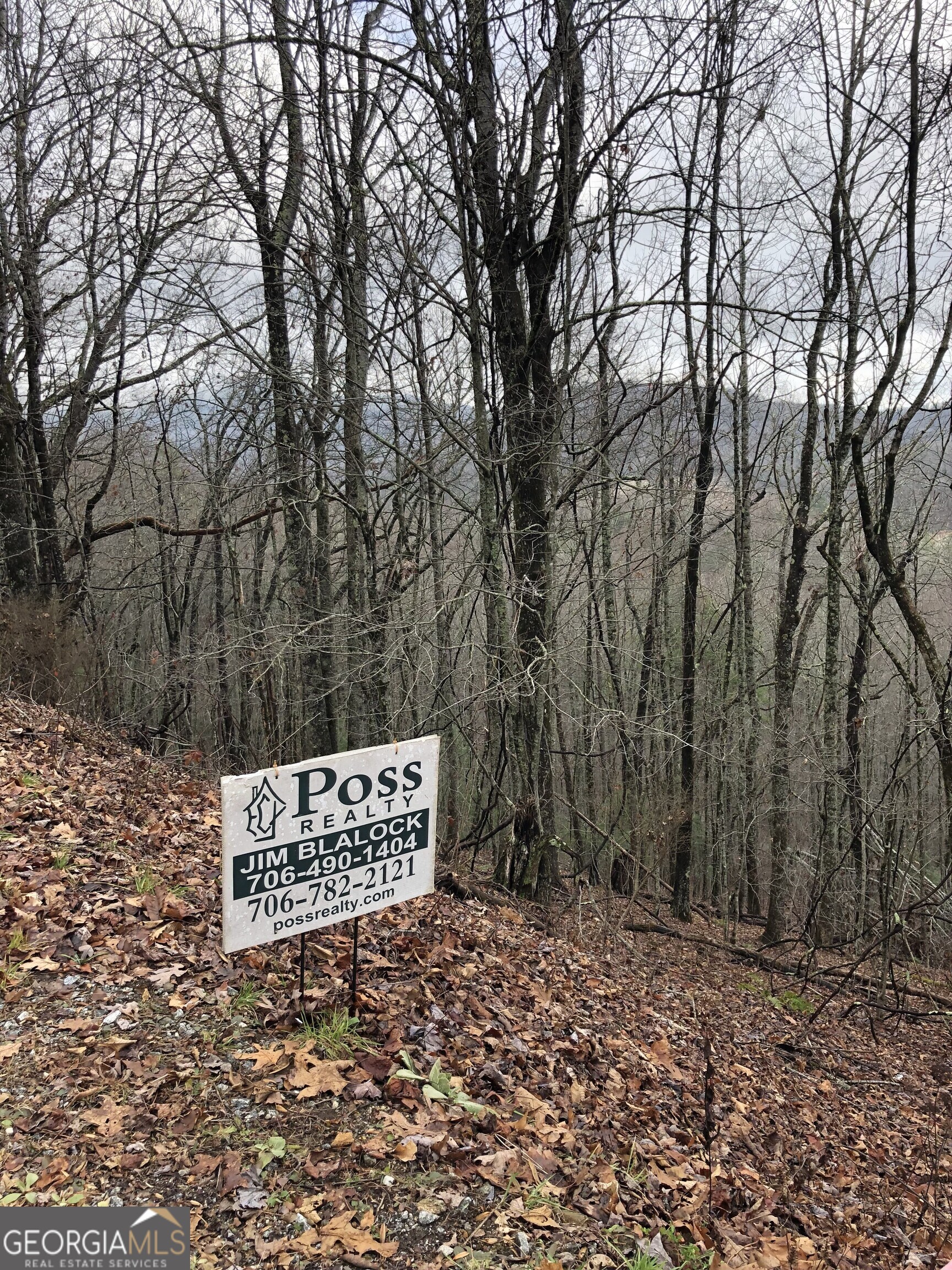 0 Browns Mountain Road Scaly Mountain, NC 28775 - Photo 2 of 4 a sign that is sitting in the middle of a forest