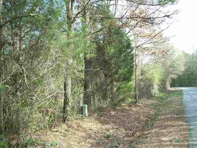 50-acres Pettigrew Road, Unit ANDERSON COUNTY 3000 P Starr, SC 29684 - Photo 11 of 21 Gallery Image 11
