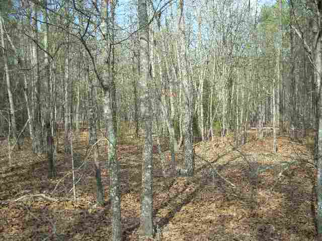 50-acres Pettigrew Road, Unit ANDERSON COUNTY 3000 P Starr, SC 29684 - Photo 12 of 21 Gallery Image 12