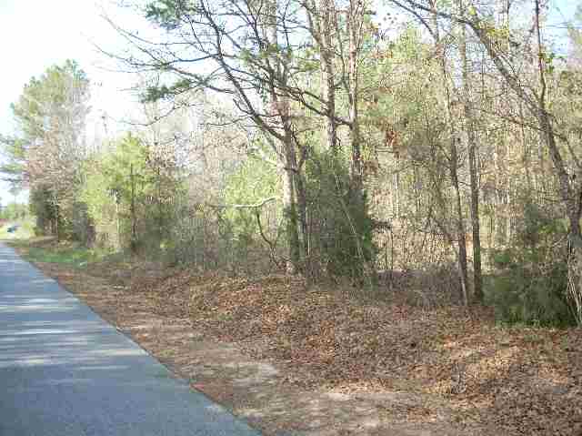 50-acres Pettigrew Road, Unit ANDERSON COUNTY 3000 P Starr, SC 29684 - Photo 13 of 21 Gallery Image 13