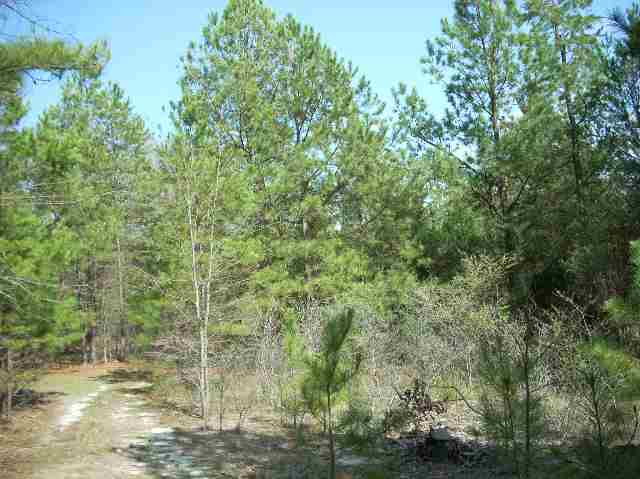 50-acres Pettigrew Road, Unit ANDERSON COUNTY 3000 P Starr, SC 29684 - Photo 15 of 21 Gallery Image 15