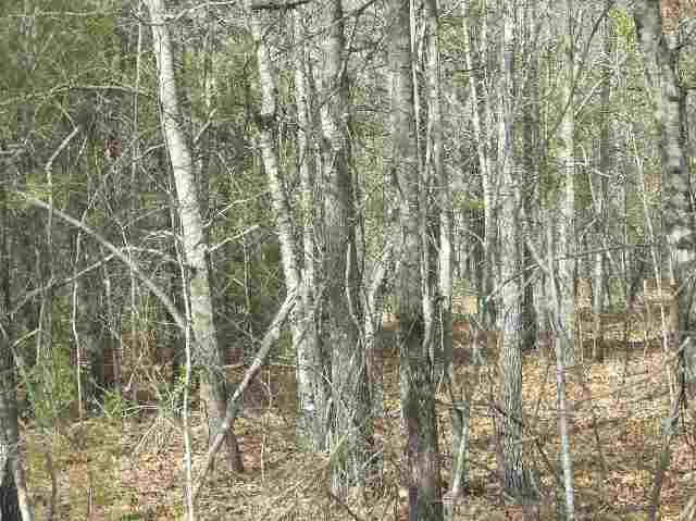 50-acres Pettigrew Road, Unit ANDERSON COUNTY 3000 P Starr, SC 29684 - Photo 17 of 21 Gallery Image 17