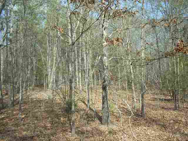 50-acres Pettigrew Road, Unit ANDERSON COUNTY 3000 P Starr, SC 29684 - Photo 18 of 21 Gallery Image 18
