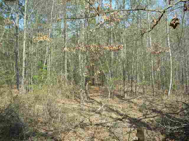 50-acres Pettigrew Road, Unit ANDERSON COUNTY 3000 P Starr, SC 29684 - Photo 20 of 21 Gallery Image 20