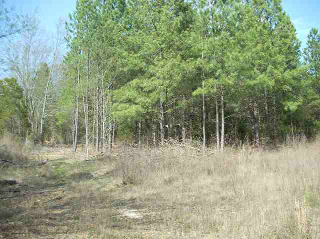 50-acres Pettigrew Road, Unit ANDERSON COUNTY 3000 P Starr, SC 29684 - Photo 2 of 21 Gallery Image 2