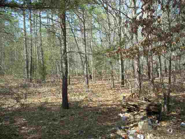 50-acres Pettigrew Road, Unit ANDERSON COUNTY 3000 P Starr, SC 29684 - Photo 3 of 21 Gallery Image 3