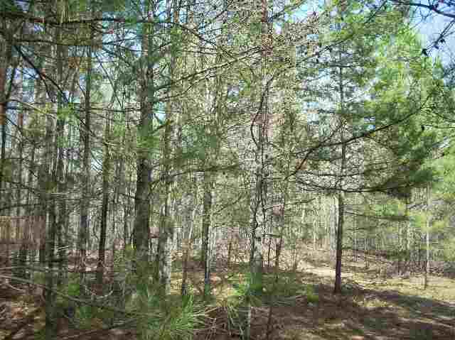 50-acres Pettigrew Road, Unit ANDERSON COUNTY 3000 P Starr, SC 29684 - Photo 5 of 21 Gallery Image 5