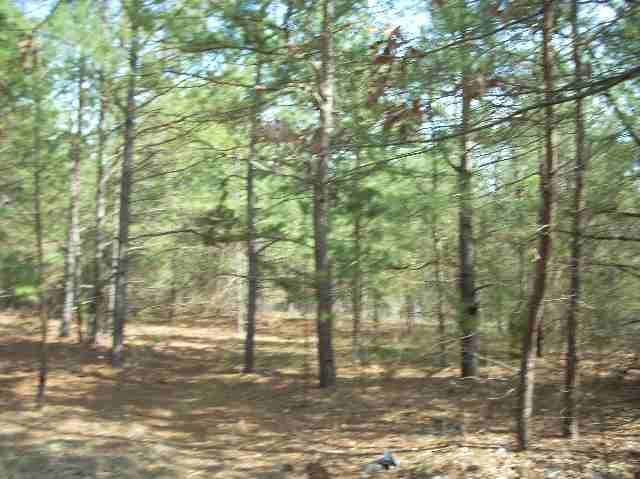 50-acres Pettigrew Road, Unit ANDERSON COUNTY 3000 P Starr, SC 29684 - Photo 6 of 21 Gallery Image 6
