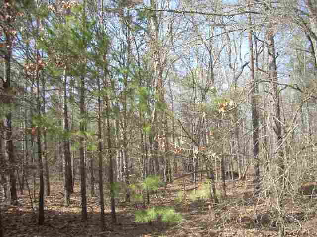 50-acres Pettigrew Road, Unit ANDERSON COUNTY 3000 P Starr, SC 29684 - Photo 8 of 21 Gallery Image 8