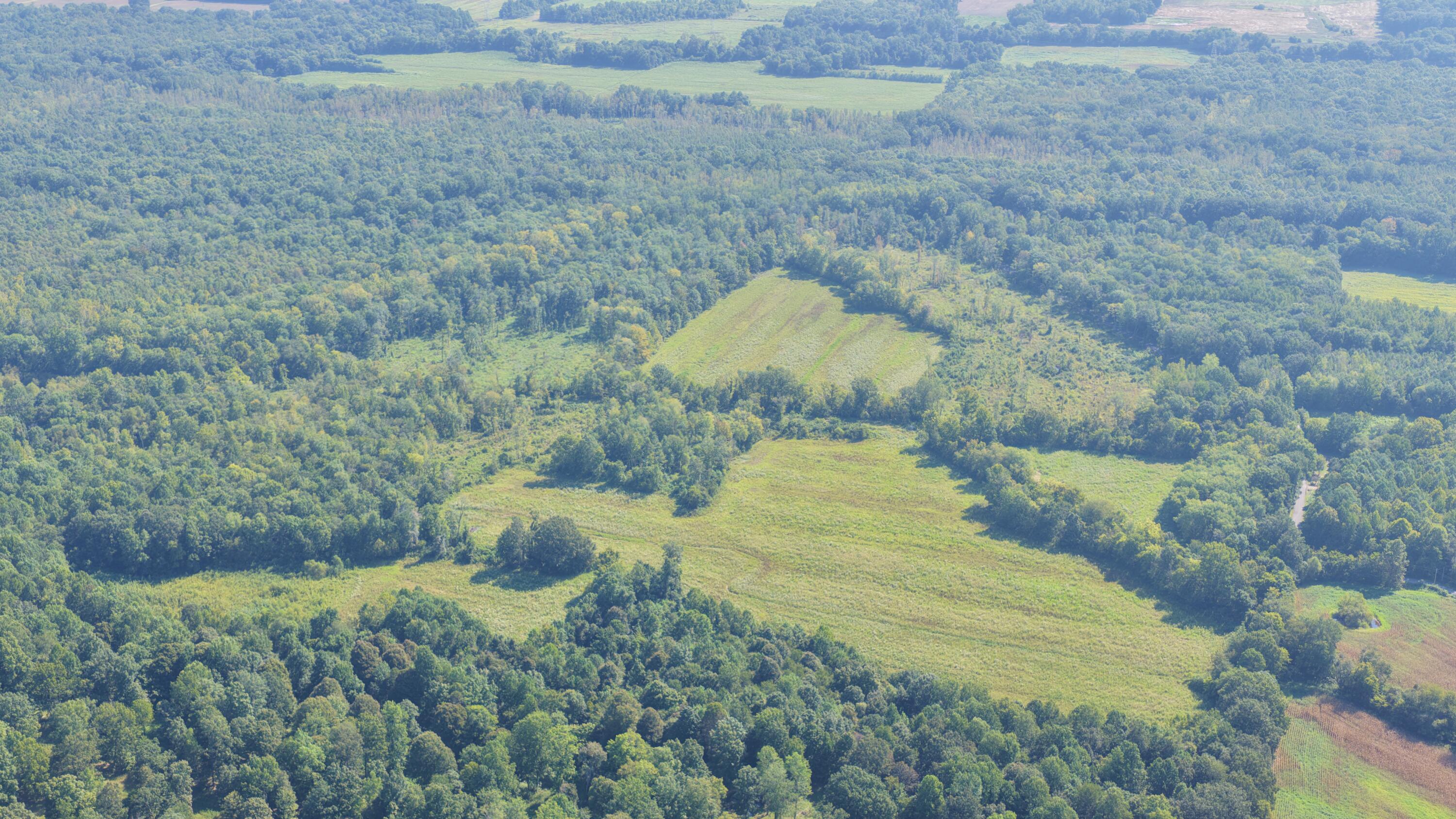 0 Dogtown Road Benton, KY 42025 - Photo 1 of 18 DJI_20260902131741_0016_D