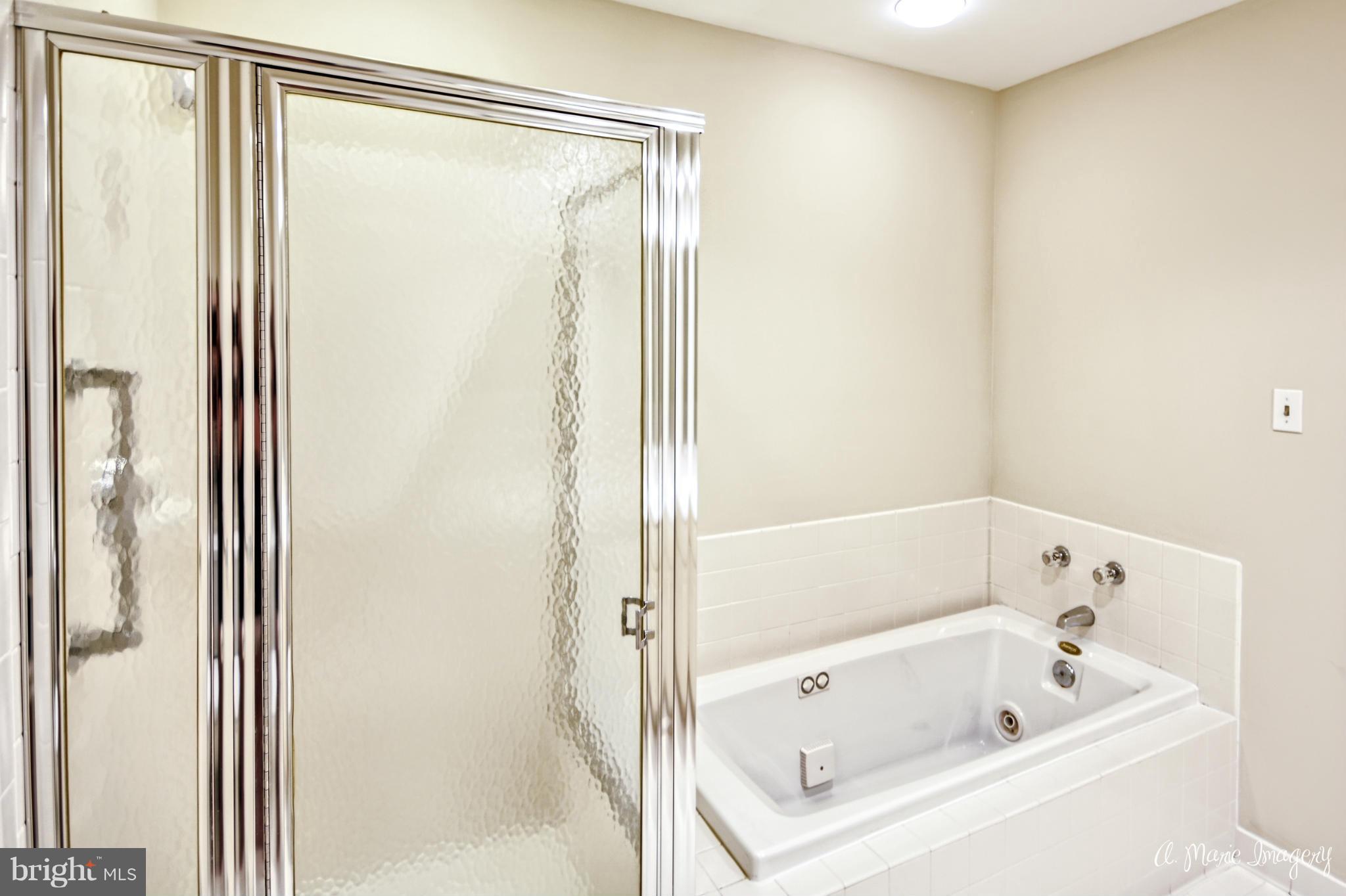 2449 Bear Den Road Frederick, MD 21701 - Photo 12 of 24 Bath (Master)