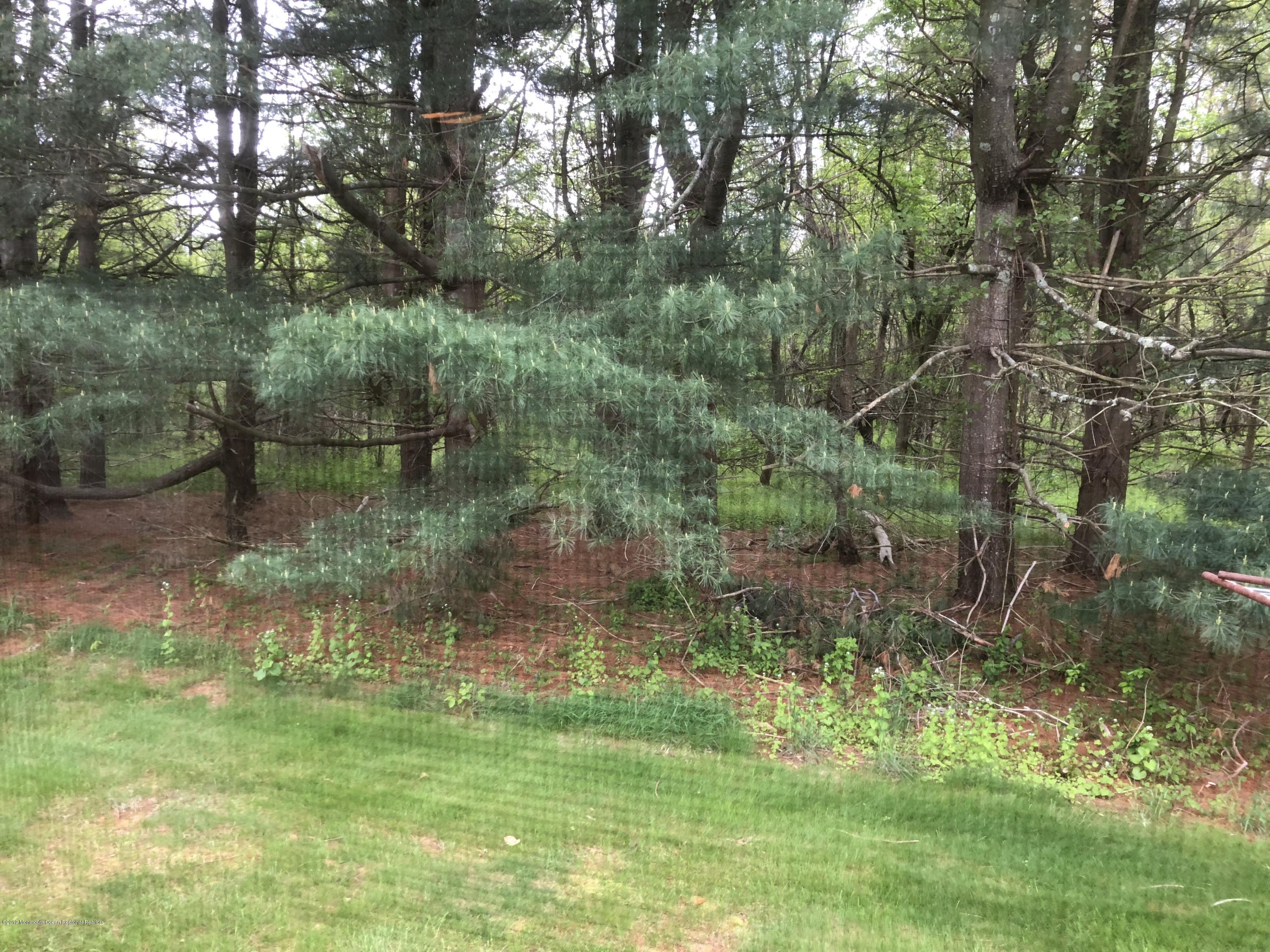 488 Rosalind Road Freehold, NJ 07728 - Photo 15 of 17 IMG_0856