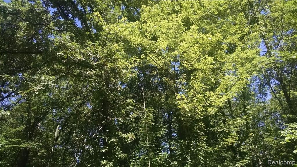 0 Coon Lake Road Fowlerville, MI 48836 - Photo 7 of 7