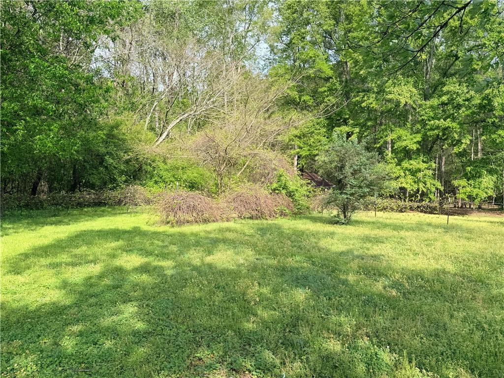 1139 Cave Springs Road Douglasville, GA 30134 - Photo 13 of 13