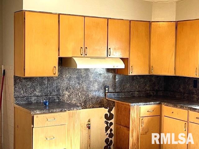 1905 South 13th Street Springfield, IL 62703 - Photo 5 of 15