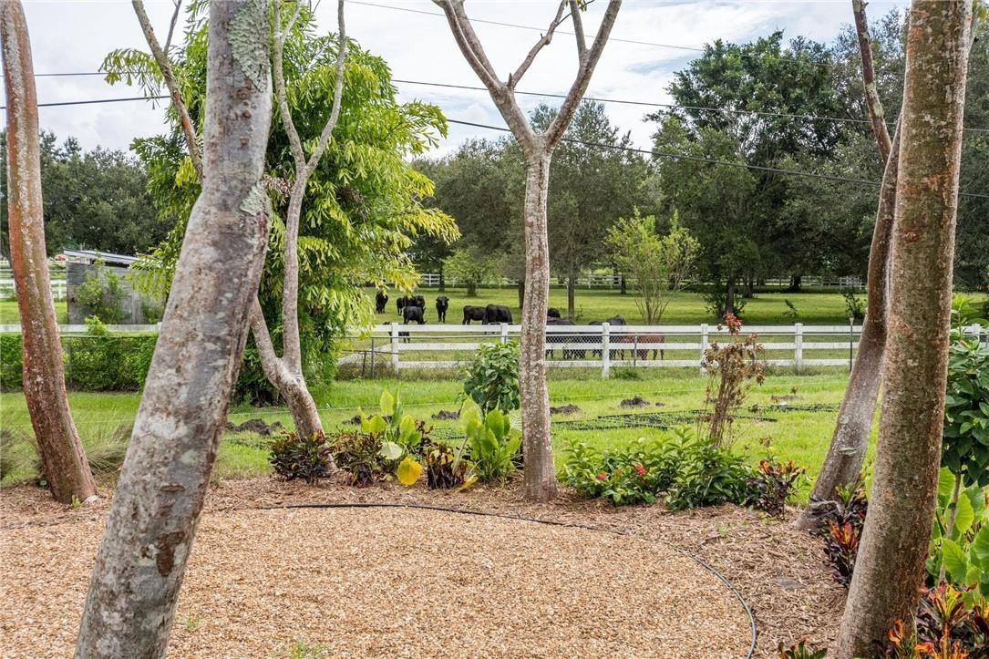 13731 Stirling Road Southwest Ranches, FL 33330 - Photo 9 of 55 Photo 9