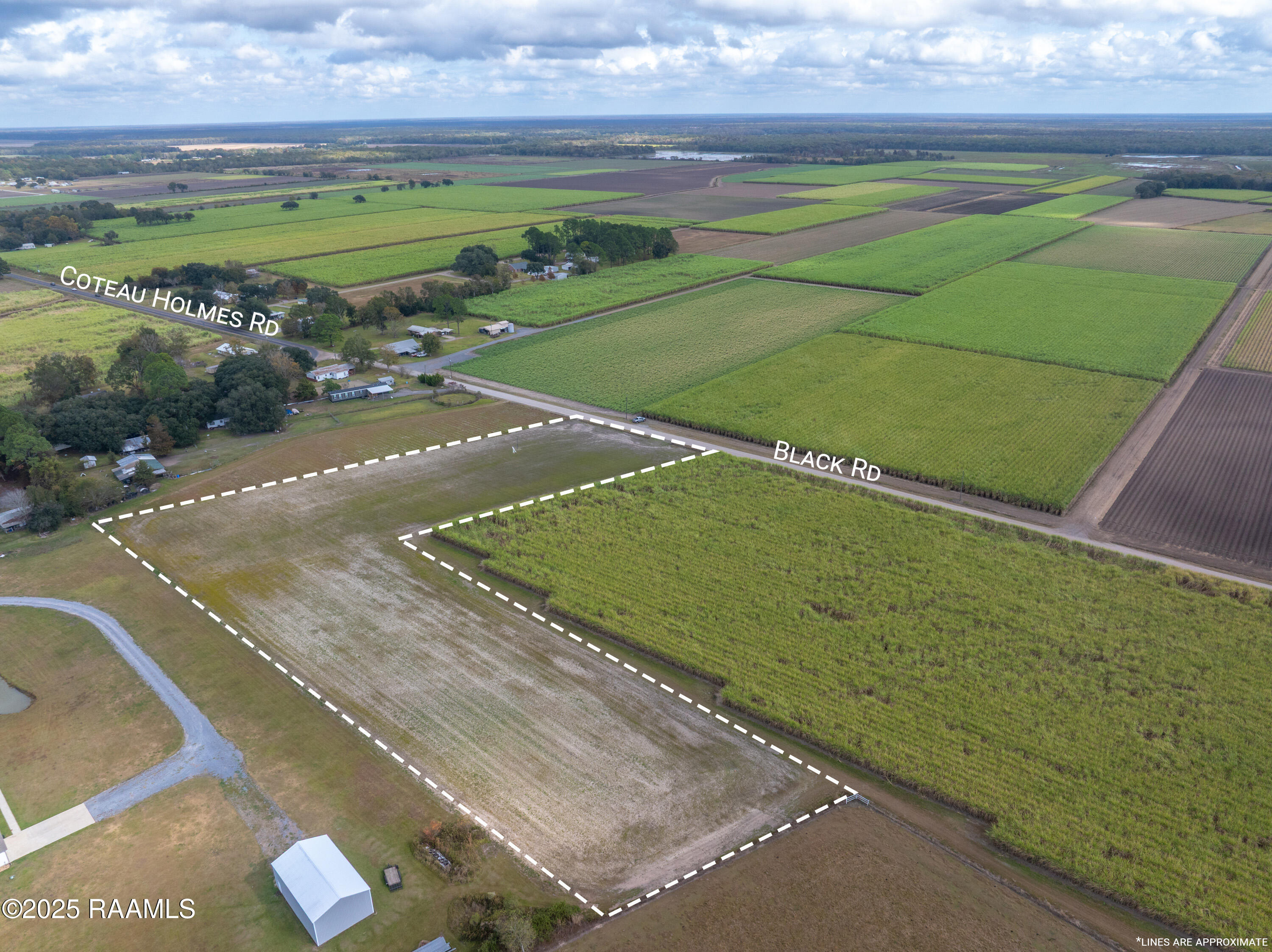204 Black Road St. Martinville, LA 70582 - Photo 3 of 13 204Black-6a