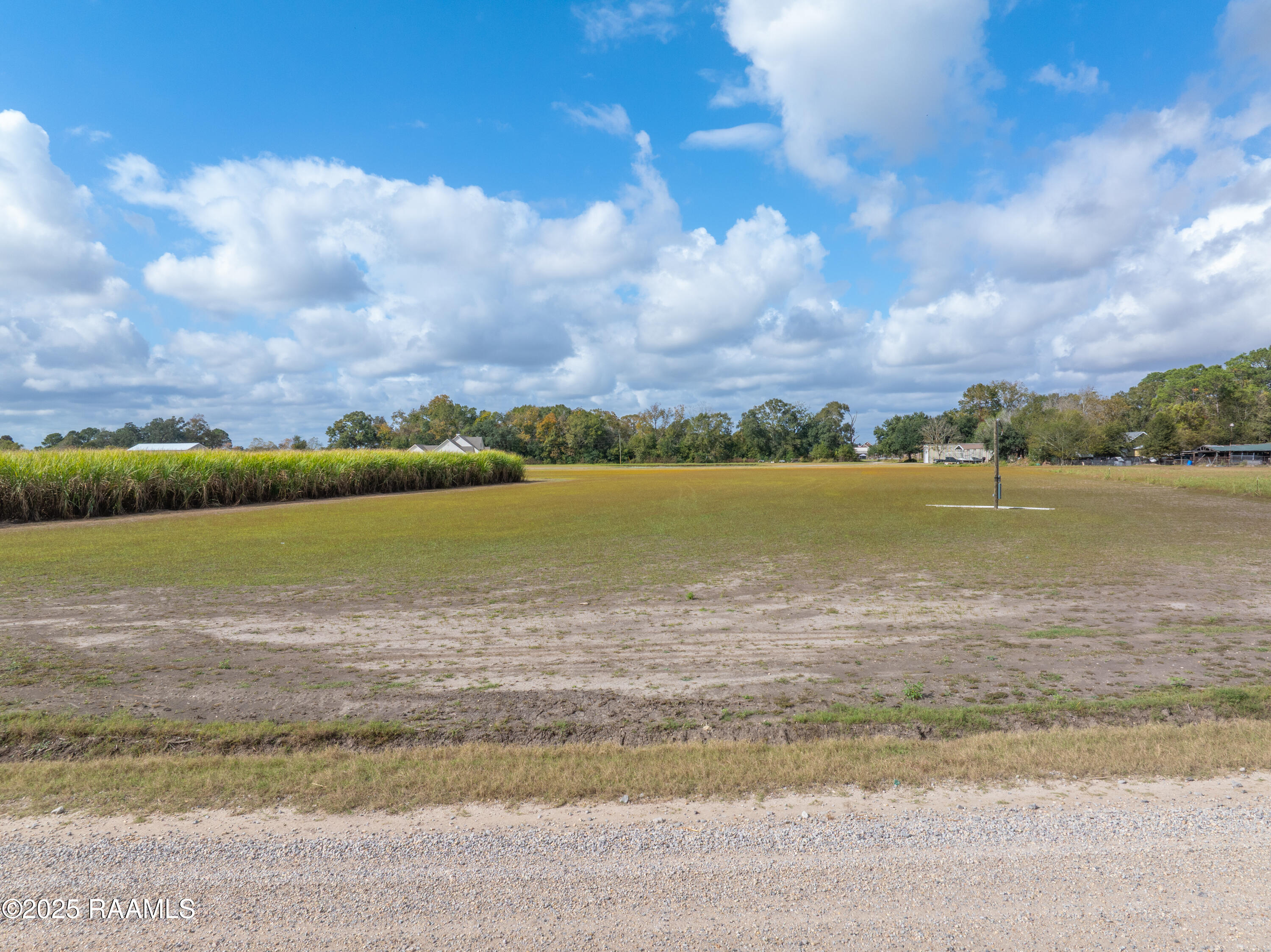 204 Black Road St. Martinville, LA 70582 - Photo 7 of 13 204Black-10