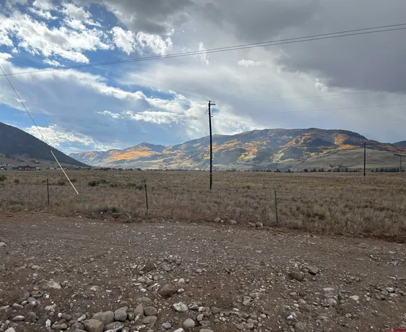 a view of a dry yard