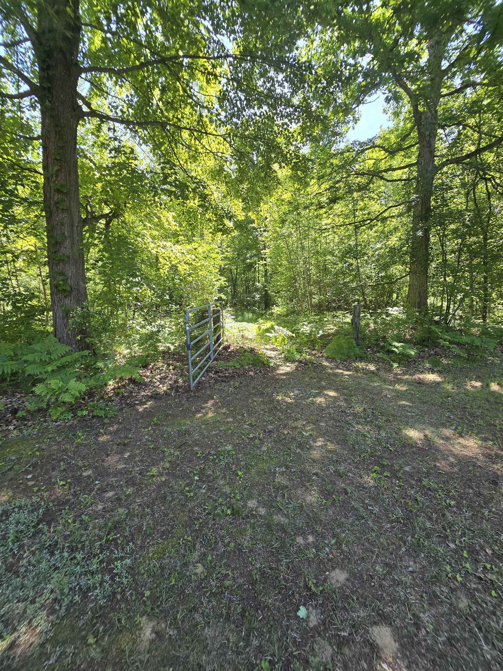 5691 Ormes Road Vassar, MI 48768 - Photo 55 of 56