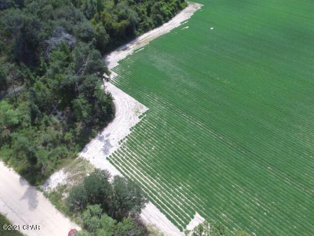 Xxx Bateau Pond Road Grand Ridge, FL 32442 - Photo 2 of 8