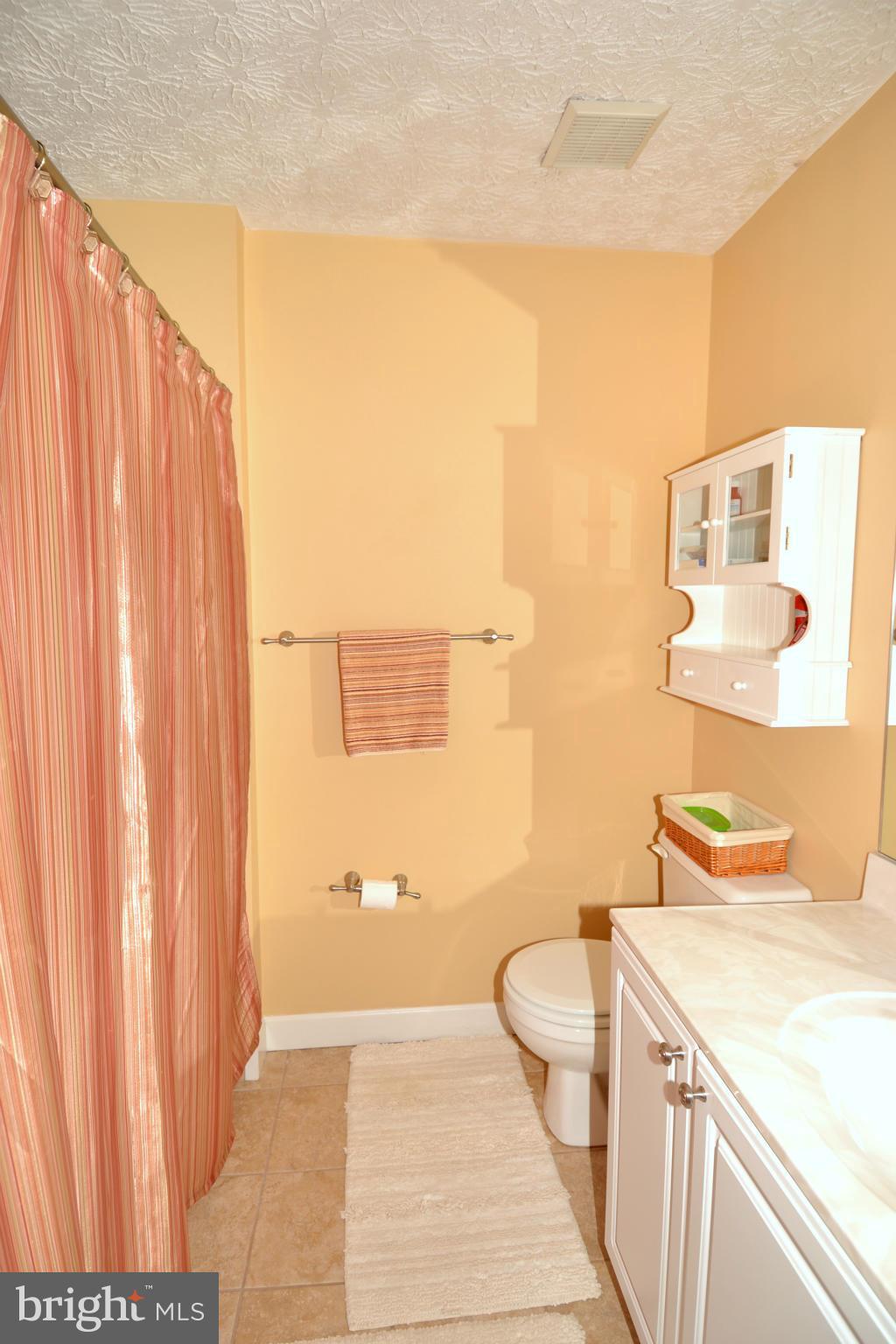 2524 Summers Ridge Drive Odenton, MD 21113 - Photo 16 of 30 Full Hallway Bath