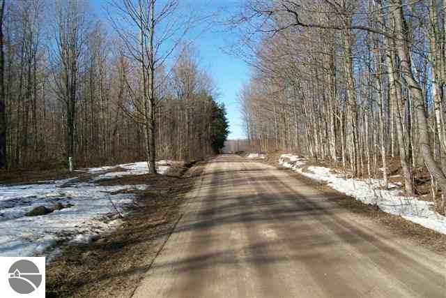 20-acres Off Vroman Road Wolverine, MI 49799 - Photo 5 of 13 1712927-4.JPG