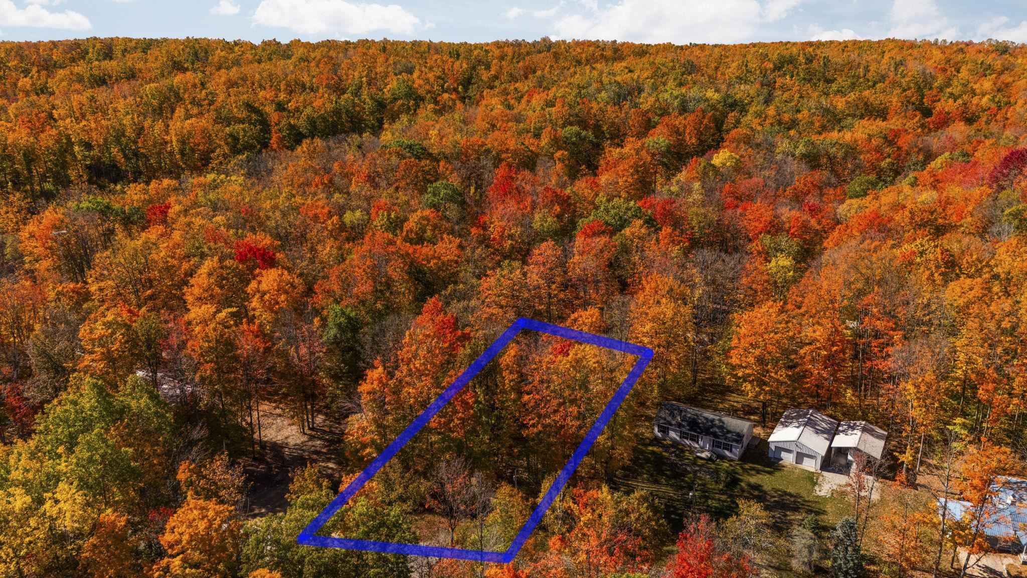 7149 West Blue Lake Road Northeast Kalkaska, MI 49646 - Photo 12 of 67