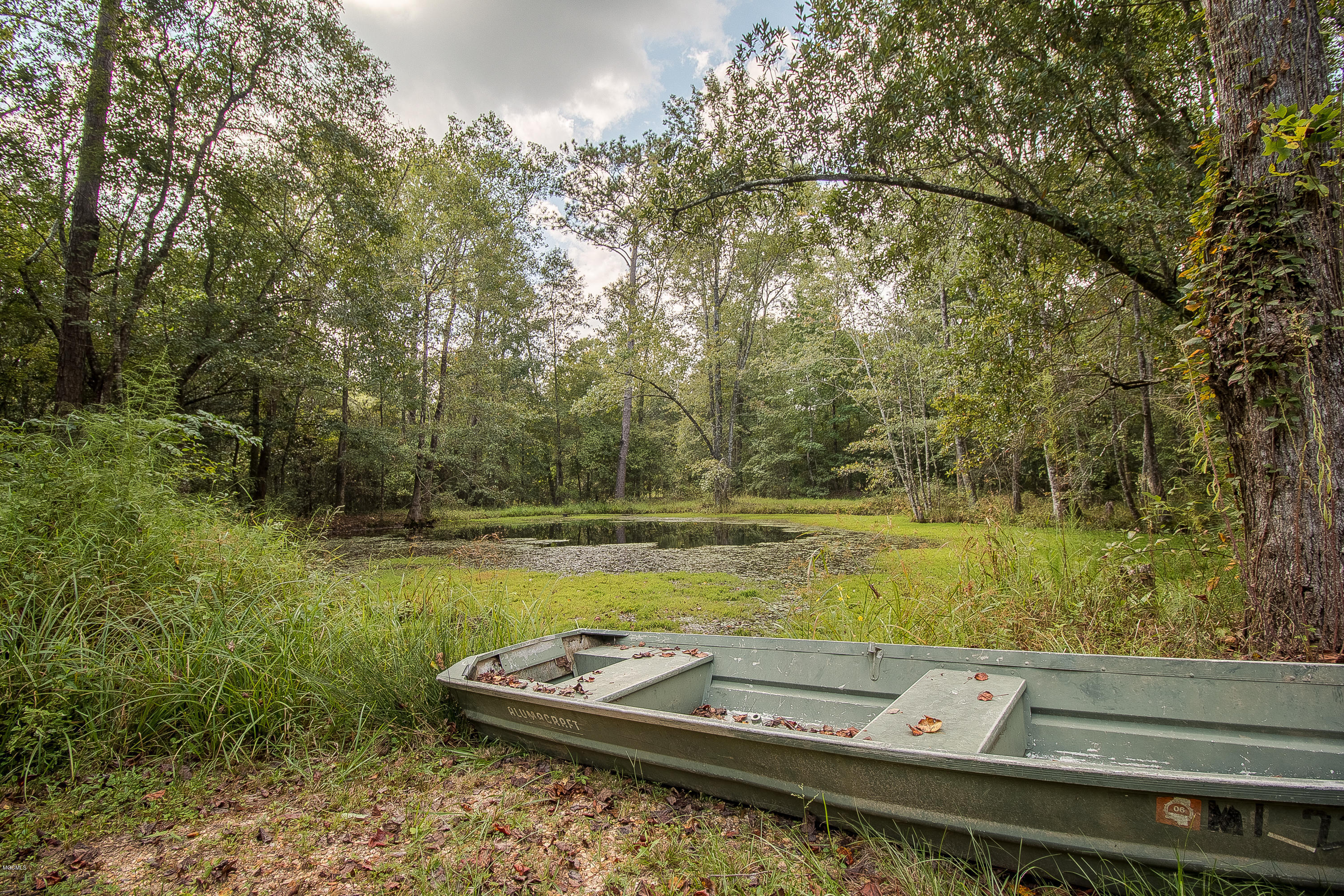440 Big 4 Road Wiggins, MS 39577 - Photo 22 of 26 Pond