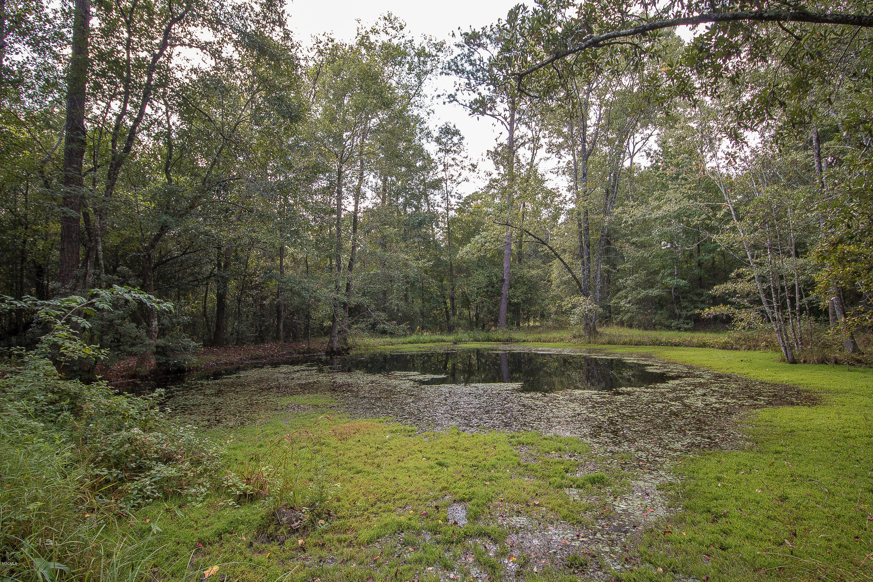 440 Big 4 Road Wiggins, MS 39577 - Photo 23 of 26 Pond