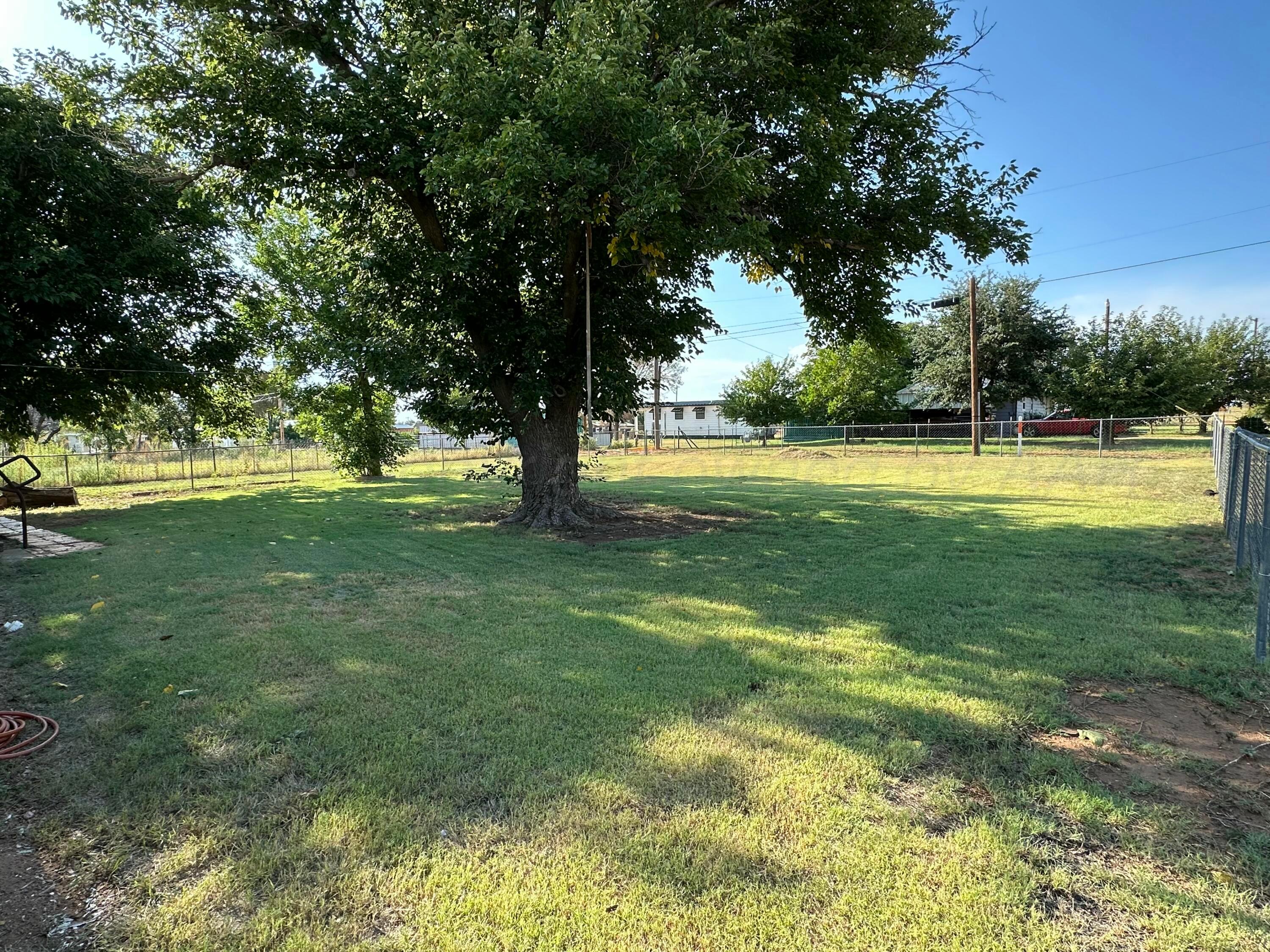 913 Bell Avenue Turkey, TX 79261 - Photo 4 of 18 a view of a trees in a yard