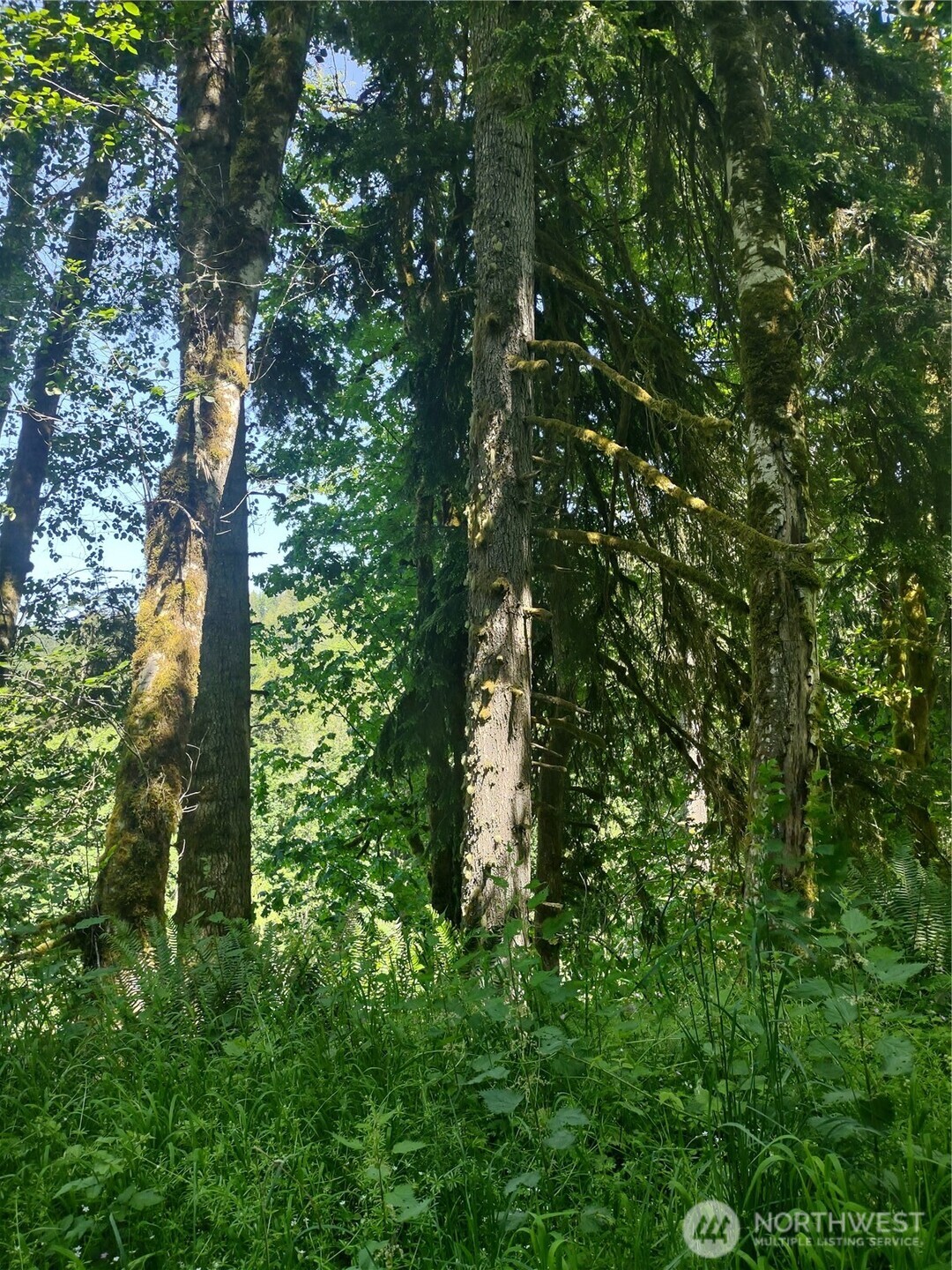 0 Glass Rd Port Port Angeles, WA 98362 - Photo 2 of 6 Gallery Image 2