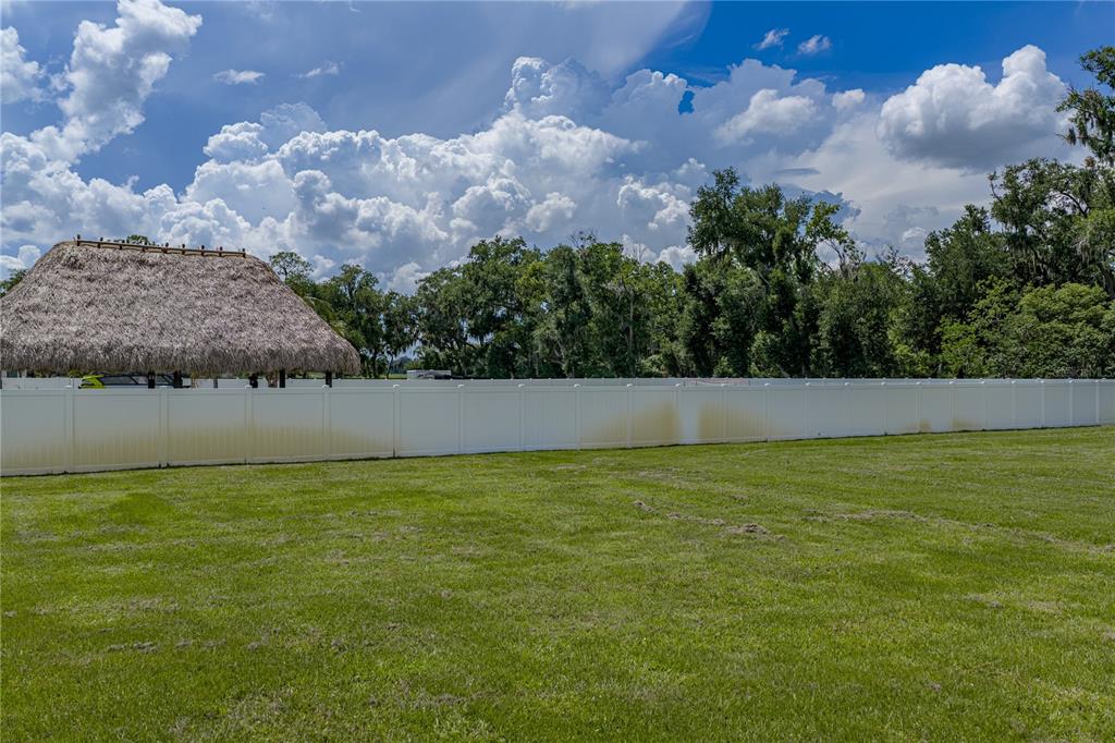 14080 Sydney Road Dover, FL 33527 - Photo 25 of 100