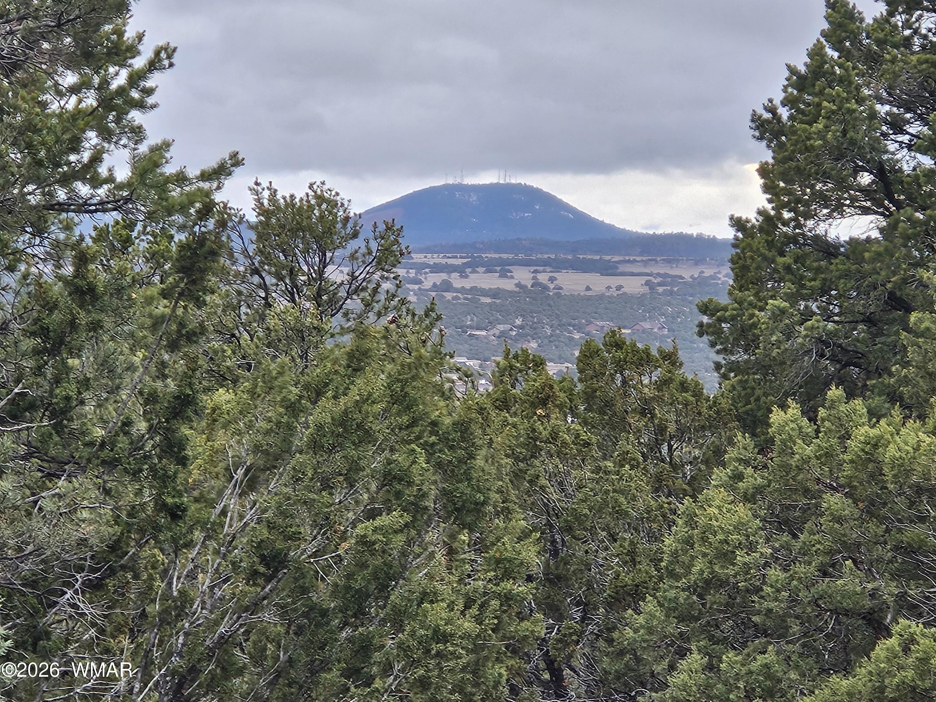 Lot 20 Mountain Pine Road Concho, AZ 85924 - Photo 4 of 10