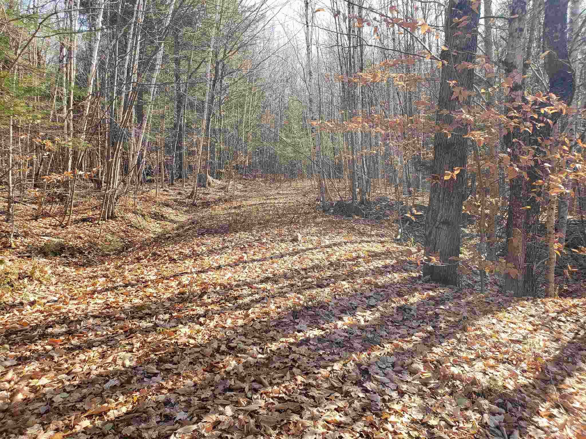 Howard Road Bristol, NH 03222 - Photo 2 of 18 Gallery Image 2