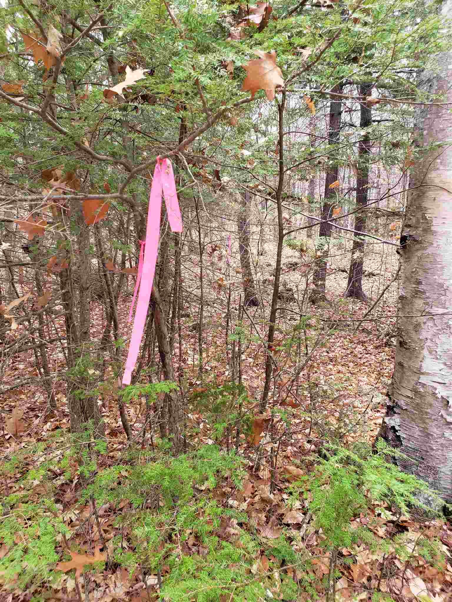Howard Road Bristol, NH 03222 - Photo 11 of 18 Gallery Image 11