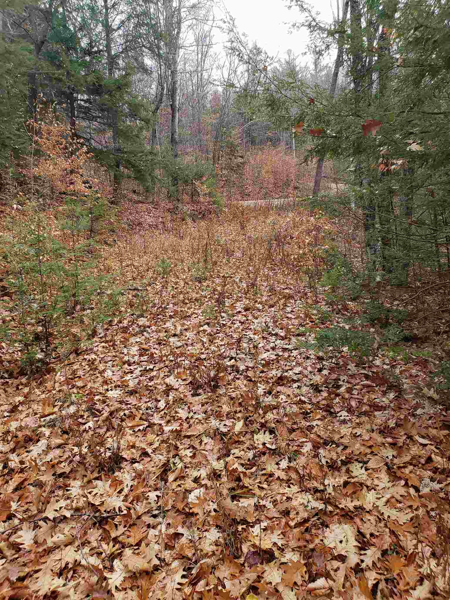 Howard Road Bristol, NH 03222 - Photo 12 of 18 Gallery Image 12