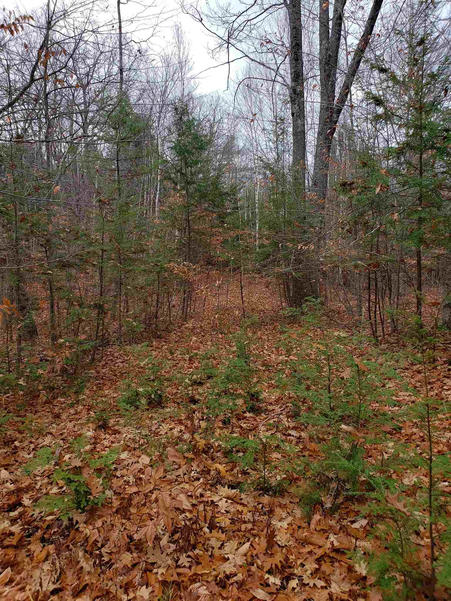 Howard Road Bristol, NH 03222 - Photo 13 of 18 Gallery Image 13