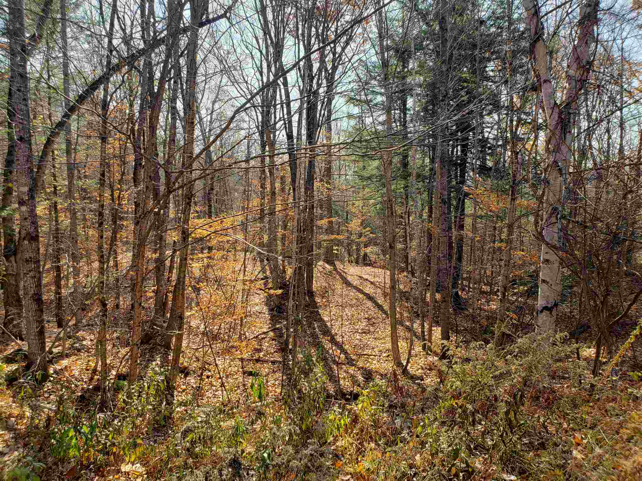 Howard Road Bristol, NH 03222 - Photo 4 of 18 Gallery Image 4