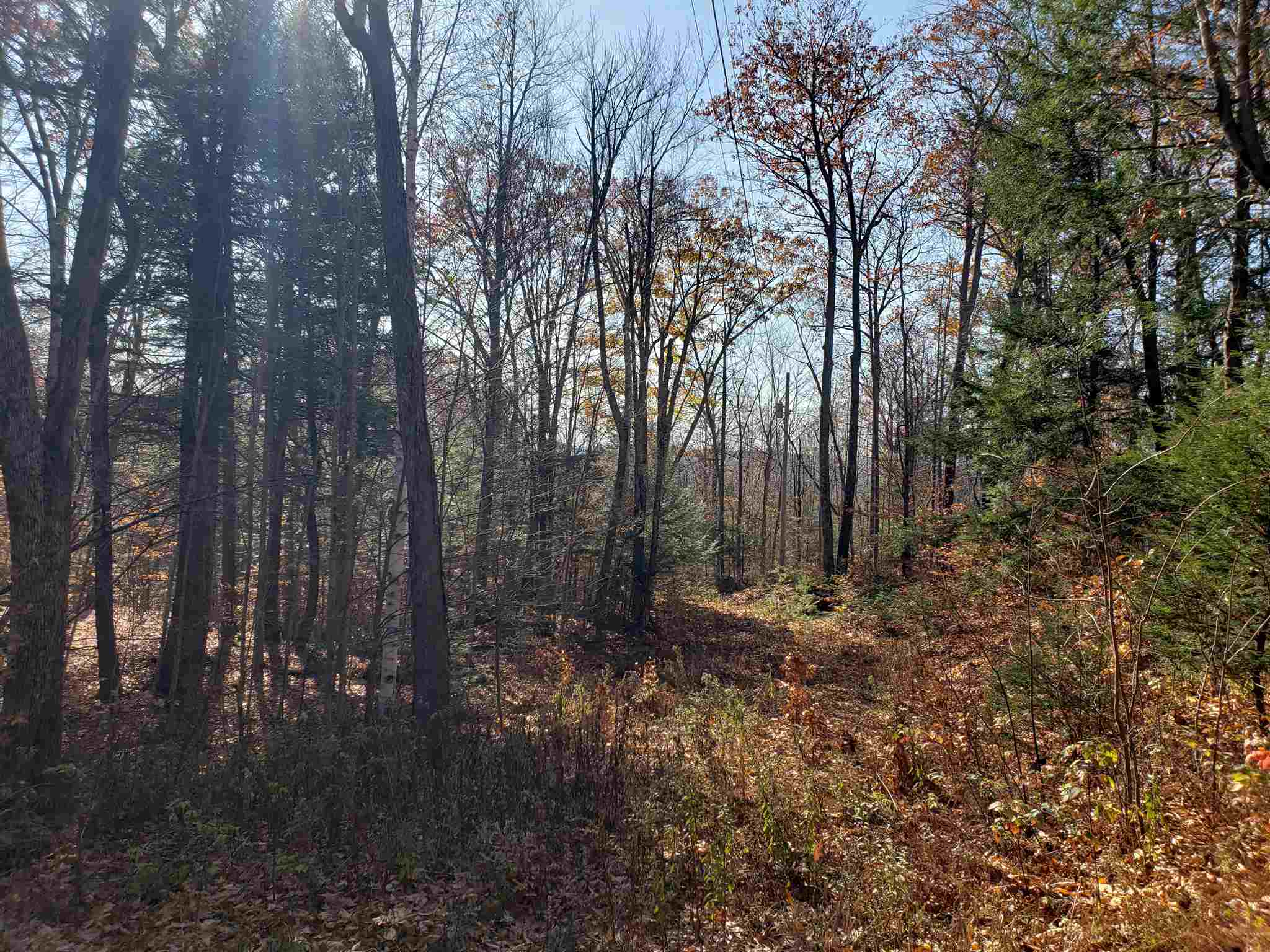 Howard Road Bristol, NH 03222 - Photo 5 of 18 Gallery Image 5